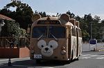 Dcim10880/DSC_8259
