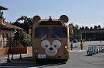 Dcim10880/DSC_8263