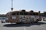 Dcim10880/DSC_8277