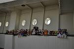 Dcim10881/DSC_8445