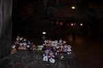 Dcim10882/DSC_8587