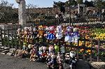 Dcim10883/DSC_8658