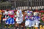 Dcim10883/DSC_8683