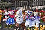 Dcim10883/DSC_8684