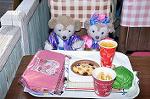Dcim10884/DSC_8825
