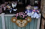 Dcim10884/DSC_8849