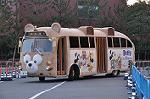 Dcim10886/DSC_9068