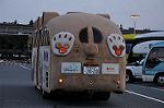 Dcim10886/DSC_9119