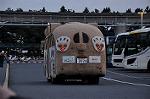 Dcim10886/DSC_9131