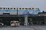 Dcim10887/DSC_9239
