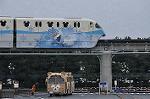 Dcim10887/DSC_9241