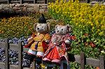 Dcim10895/DSC_0192