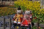 Dcim10895/DSC_0193