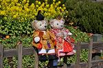 Dcim10895/DSC_0196