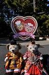 Dcim10897/DSC_0442