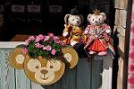 Dcim10897/DSC_0461