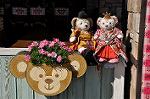 Dcim10897/DSC_0462