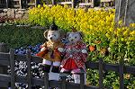 Dcim10898/DSC_0604