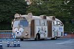Dcim10899/DSC_0699