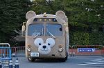 Dcim10899/DSC_0701