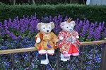 Dcim10899/DSC_0764