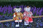 Dcim10899/DSC_0765