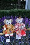 Dcim10899/DSC_0766