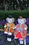 Dcim10899/DSC_0770