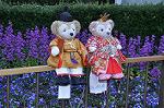 Dcim10899/DSC_0773