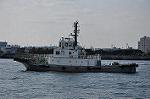 Dcim10903/DSC_1300