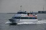 Dcim10903/DSC_1303