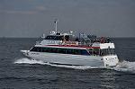 Dcim10903/DSC_1318