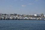 Dcim10904/DSC_1351