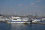 Dcim10904/DSC_1354