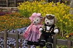 Dcim10907/DSC_1655