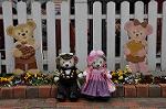 Dcim10909/DSC_1951