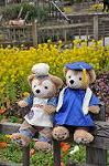 Dcim10910/DSC_2028
