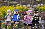 Dcim10910/DSC_2029