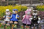 Dcim10910/DSC_2030