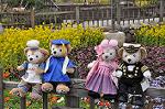 Dcim10910/DSC_2031