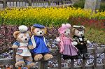 Dcim10910/DSC_2033