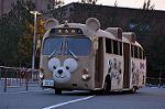 Dcim10910/DSC_2137