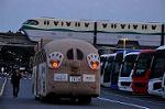 Dcim10910/DSC_2157