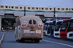 Dcim10910/DSC_2161