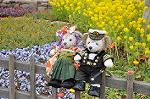 Dcim10911/DSC_2262