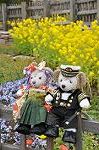 Dcim10911/DSC_2263
