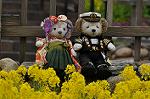 Dcim10911/DSC_2268