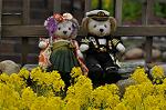 Dcim10911/DSC_2269