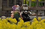 Dcim10911/DSC_2270