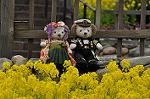 Dcim10911/DSC_2271